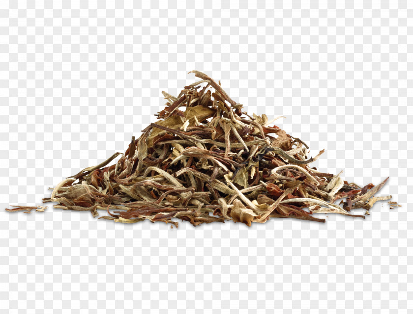 Tea White Golden Monkey Nilgiri Dianhong PNG