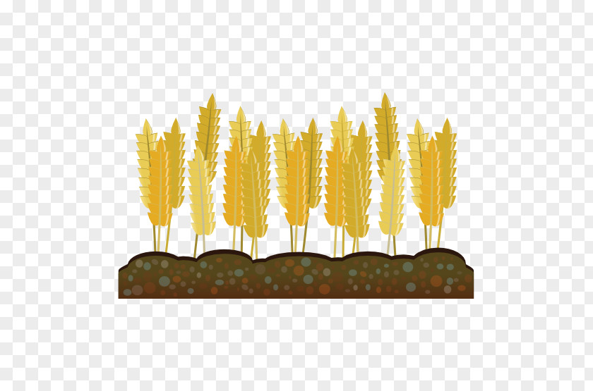 Wheat Crop Agriculture Clip Art PNG