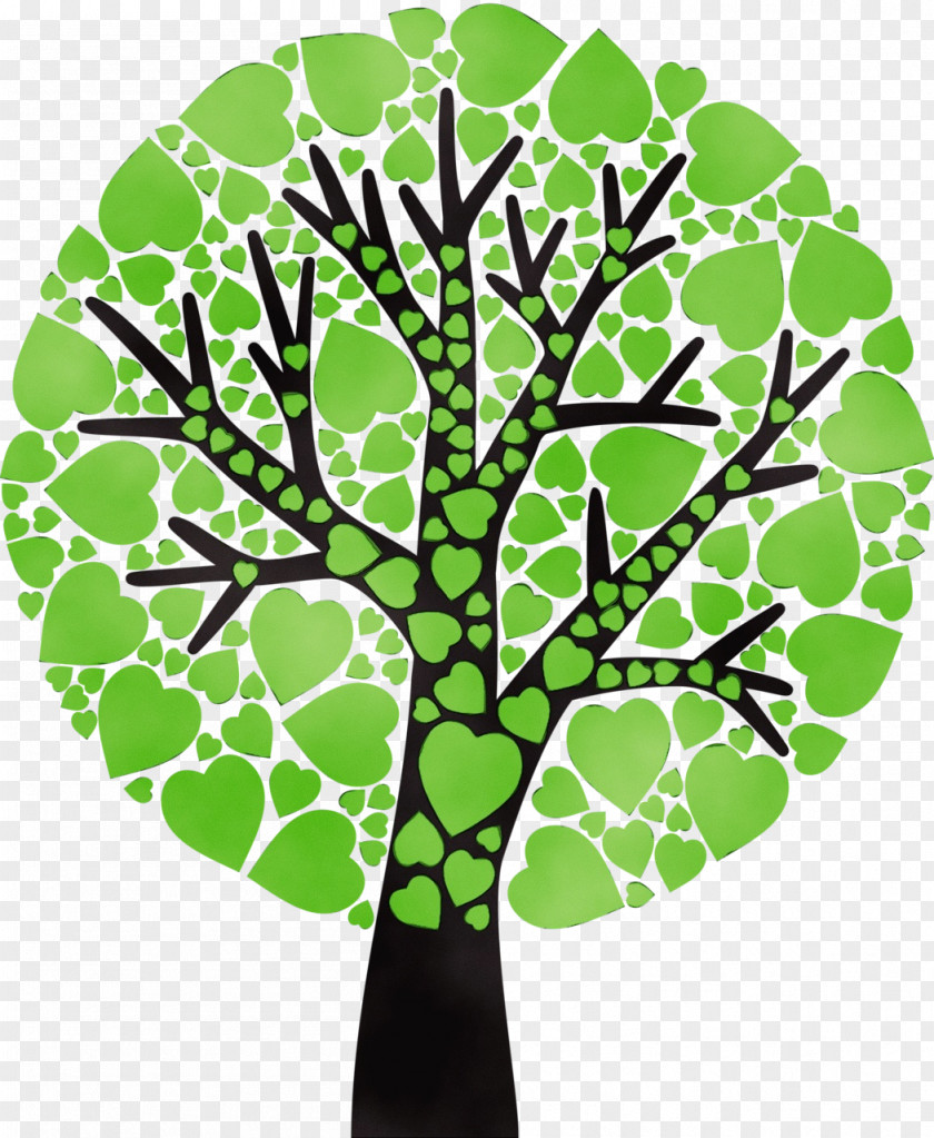 Branch Woody Plant Green Leaf Tree Clip Art PNG