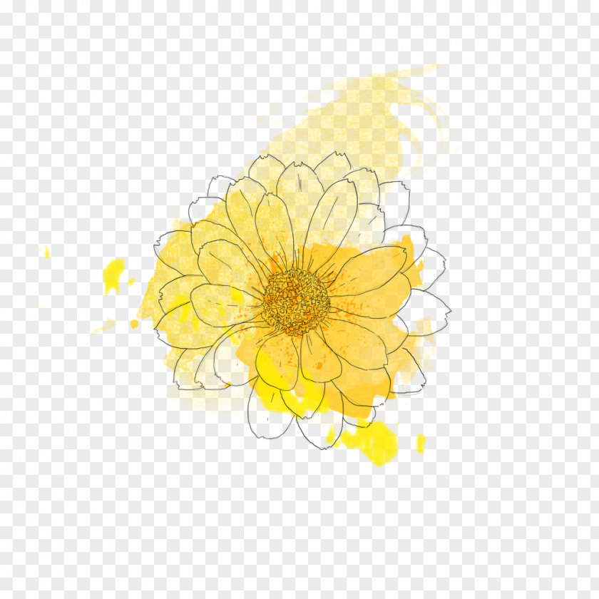 Chrysanthemum Floral Design Transvaal Daisy Desktop Wallpaper PNG