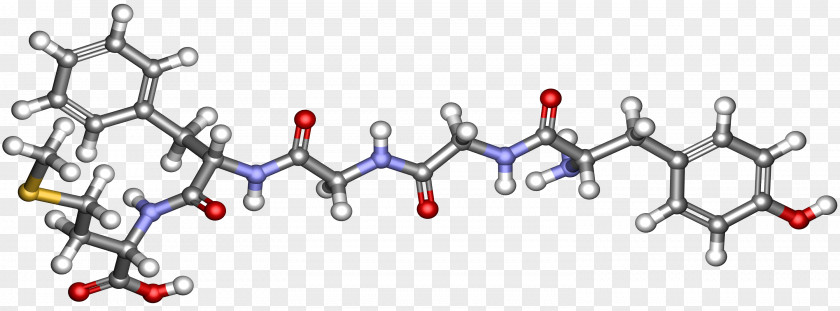 Enkephalin Enol Pain Opioid PNG