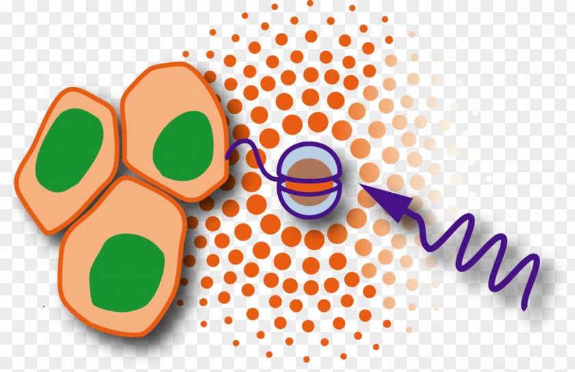 European Laboratory For Nonlinear Spectroscopy Research Council Union Horizon 2020 PNG