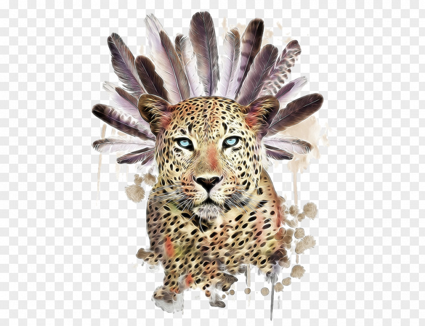 Feather And Cheetah Raccoon Tiger Owl Symbol Illustration PNG