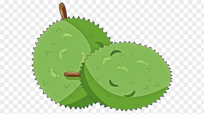 Green Leaf Grass Plant Logo PNG