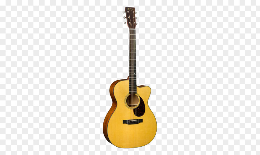 Guitar C. F. Martin & Company Acoustic Classical Acoustic-electric PNG