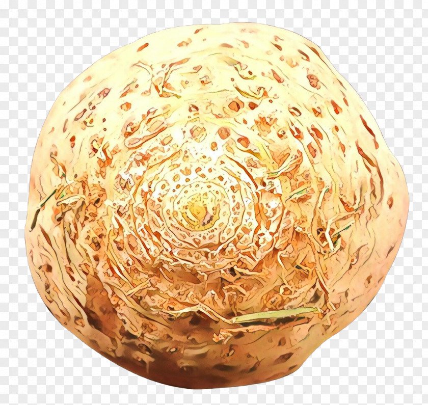 Plant Celeriac PNG