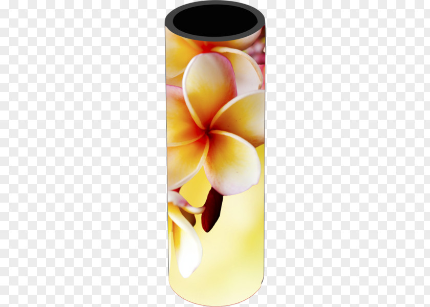 Plumeria Stock Photography Royalty-free PNG