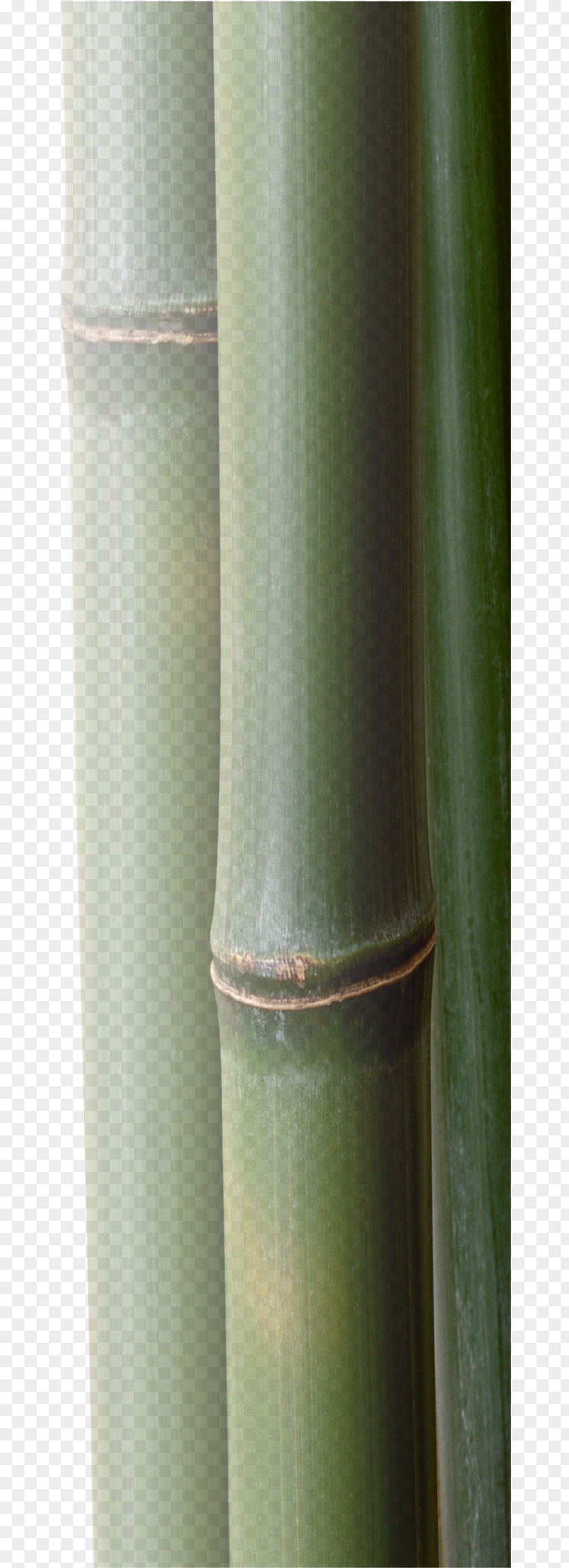 Bamboo Plant Stem Cylinder PNG