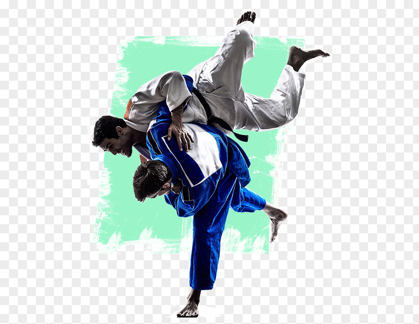 Mixed Martial Arts Brazilian Jiu-jitsu Jujutsu Judo PNG
