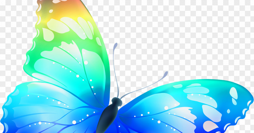 Multicolor Butterfly Desktop Wallpaper Clip Art PNG