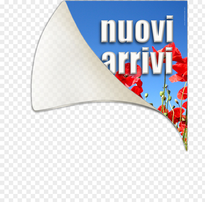 Papaveri Display Window Vetrofania Decoratie Sticker Post-it Note PNG