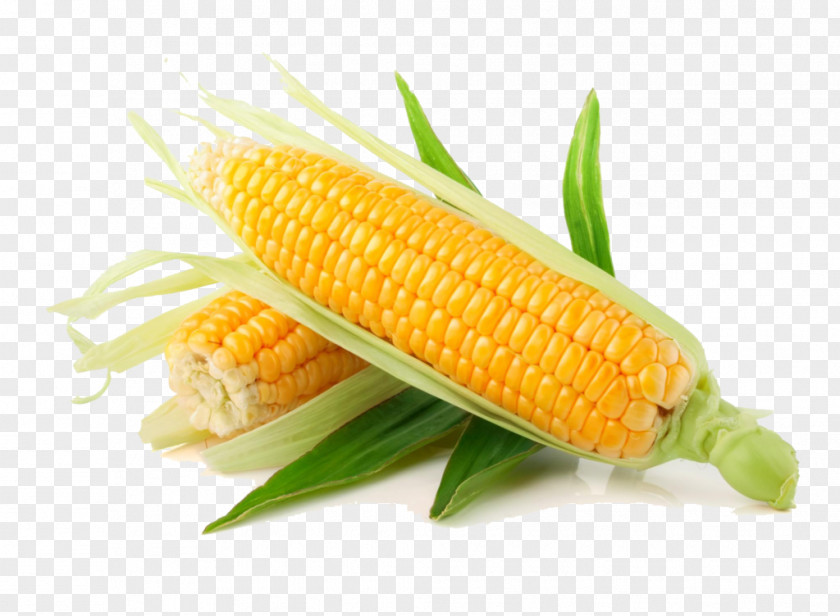 Vegetable Corn On The Cob Flint Sweet Organic Food Cereal PNG