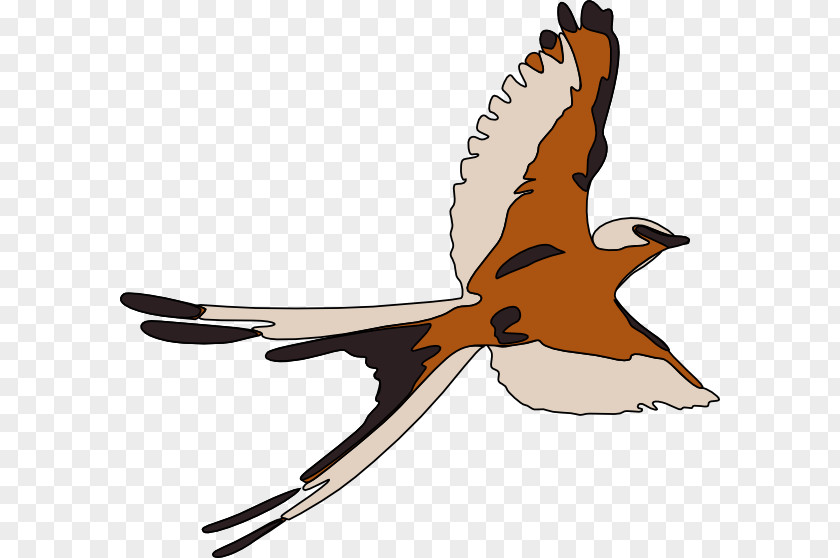 Bird Clip Art PNG