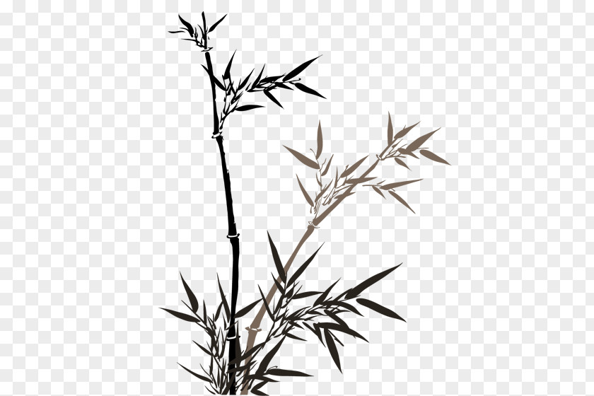 Chinese Bamboo Wind PNG