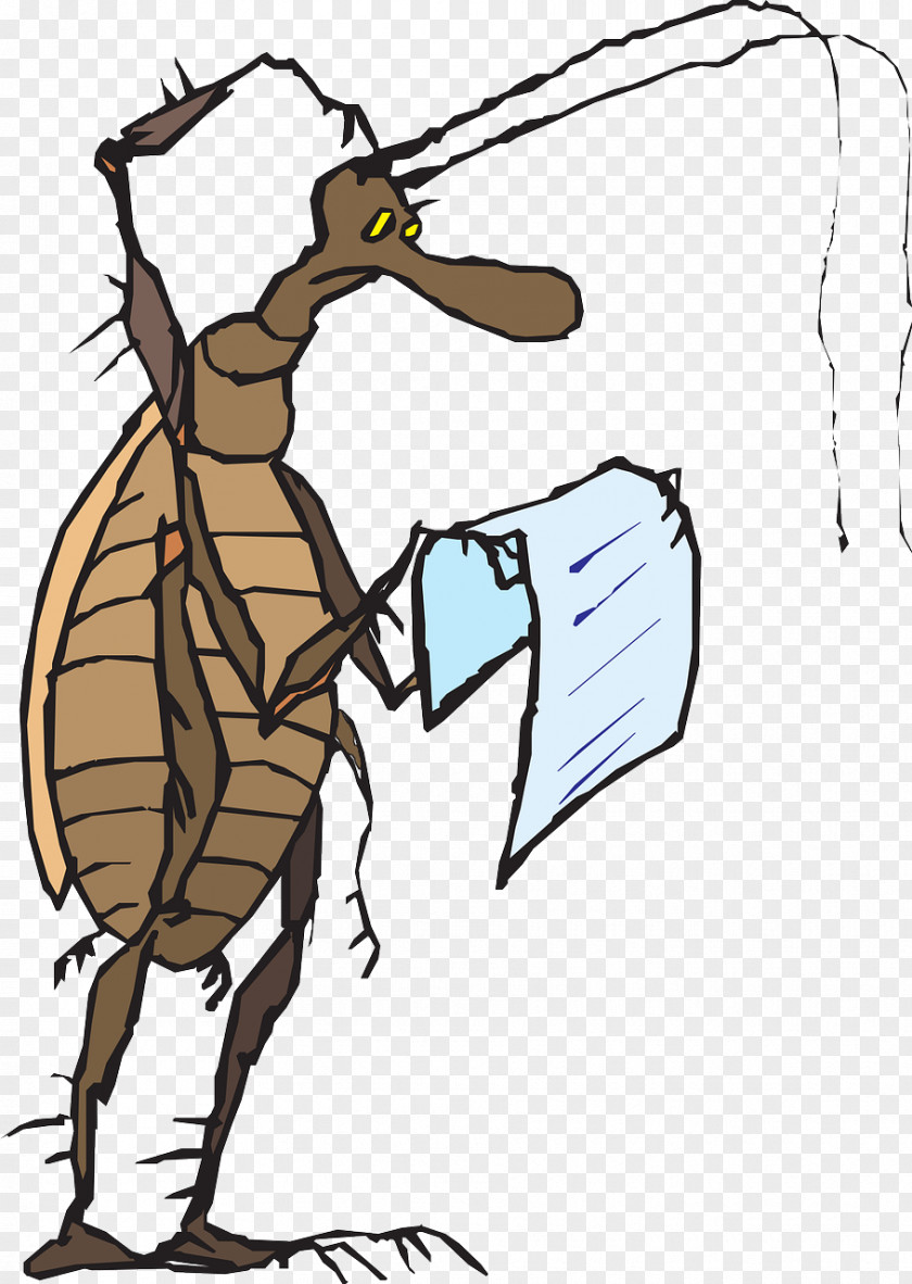 Cockroach Thesaurus Synonym Adjective Opposite Definition PNG