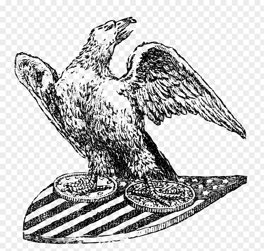 Eagle Line Art Drawing Clip PNG