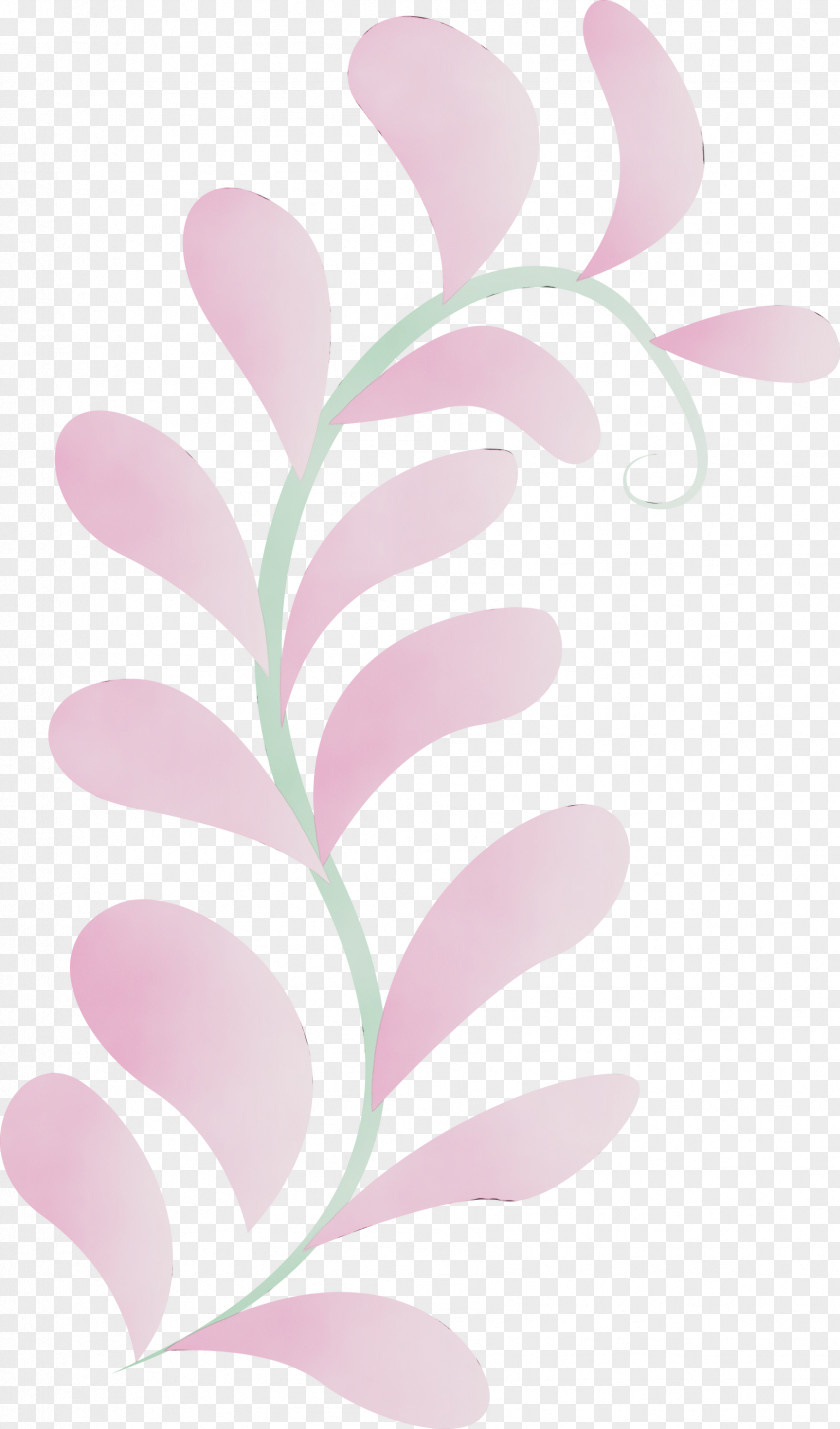 Petal Pattern Pink M Meter PNG