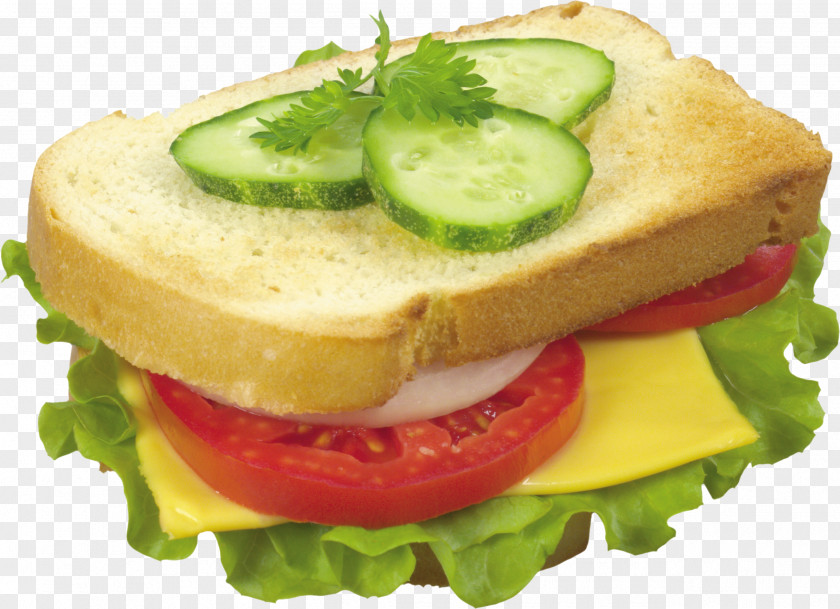 Burger And Sandwich Butterbrot Hamburger Bread PNG