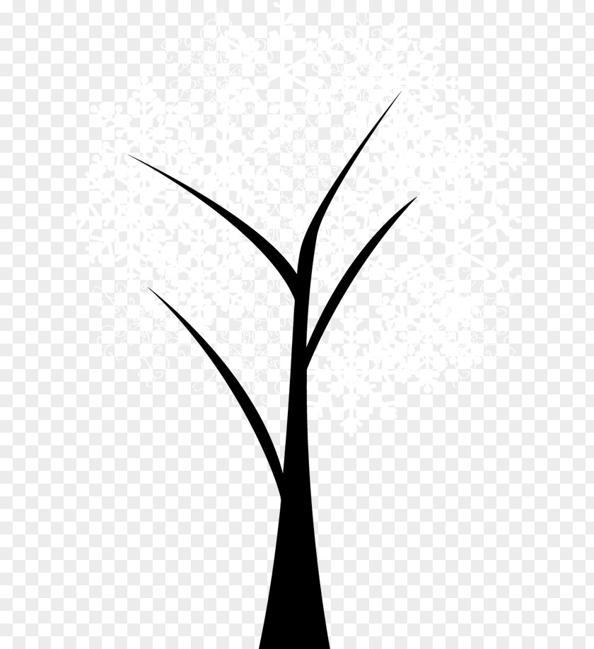 Cartoon Painted Snowflakes Tree Twig Black And White Plant Stem Leaf Pattern PNG