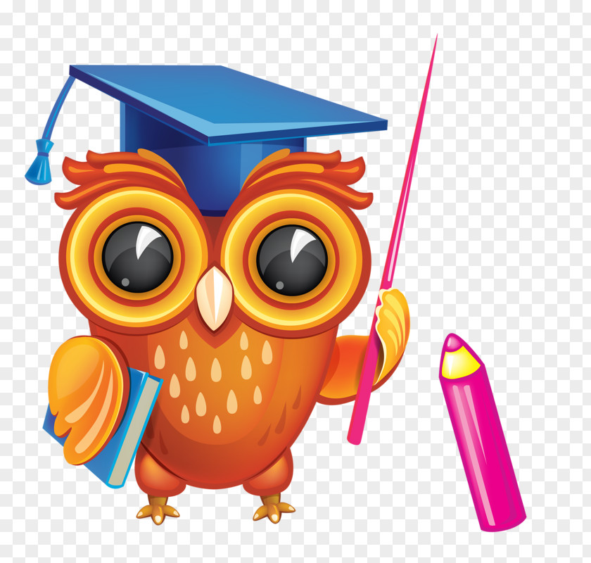 Cute Owl Diploma Graduation Ceremony Clip Art PNG