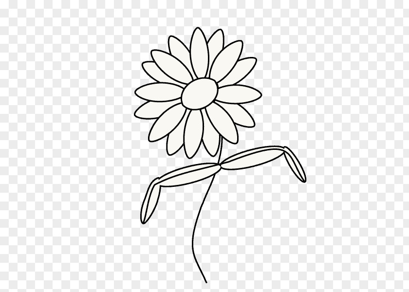 Design Floral Drawing Common Daisy Sketch PNG