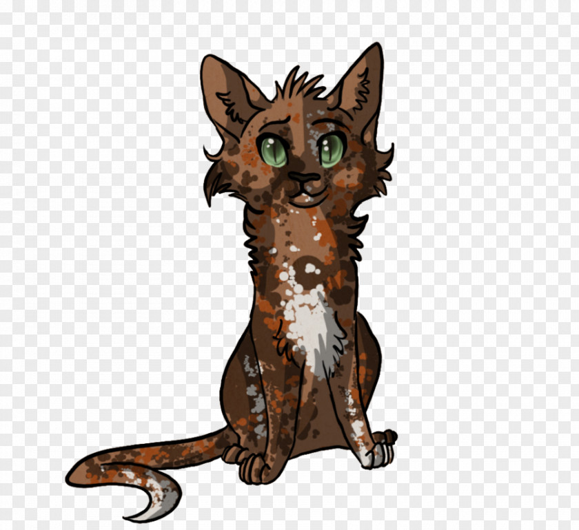 Kitten Whiskers Tabby Cat Wildcat Red Fox PNG