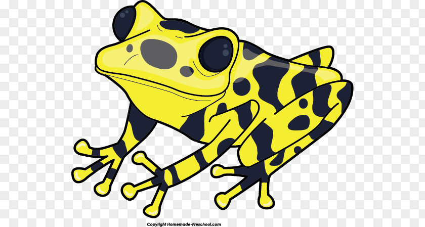 Spring Frog Cliparts Yellow-banded Poison Dart Green And Black Clip Art PNG