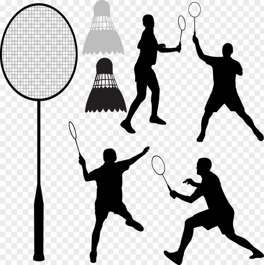 Badminton Badmintonracket Shuttlecock Clip Art PNG