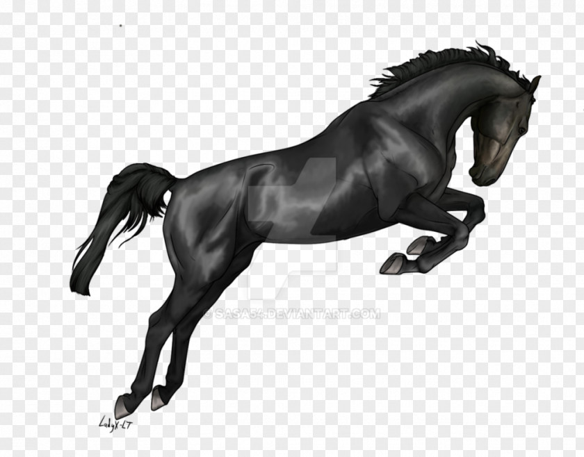 Dark Horse Mustang Art Clip PNG