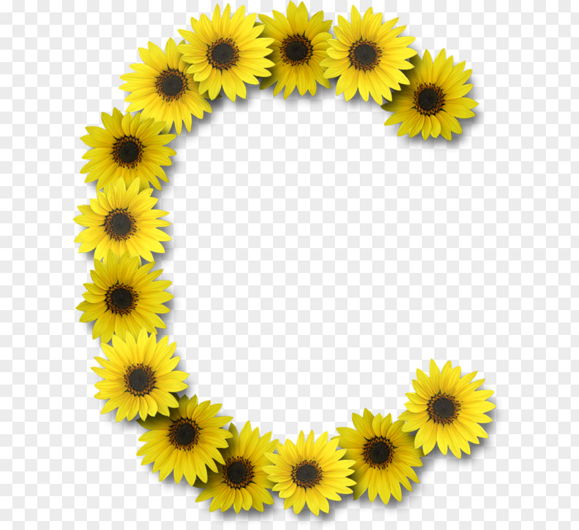 Flower Common Sunflower Letter Case Alphabet G PNG