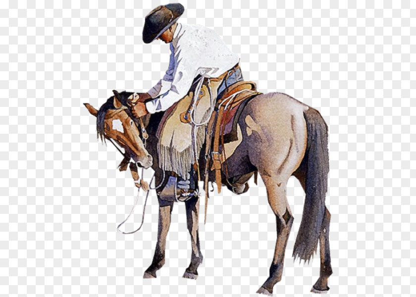 Western True Grit Horse Cowboy PNG