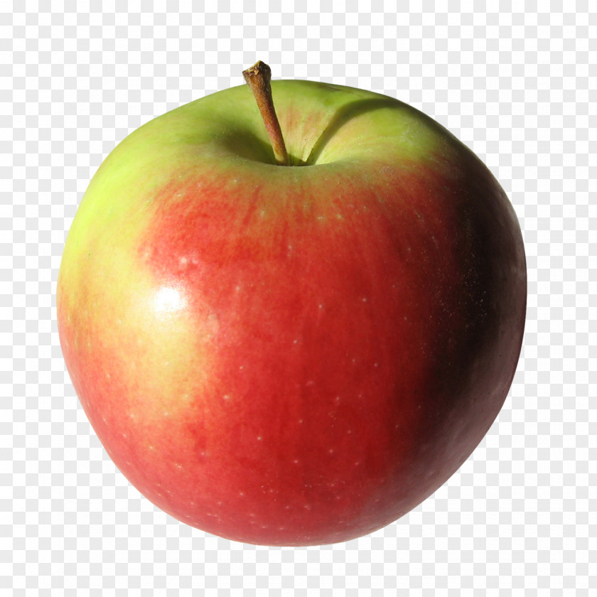 Apple Fruit Clip Art PNG