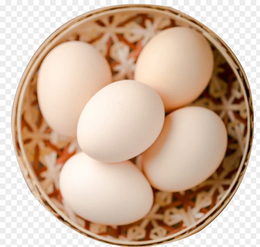 Egg Chicken Boiled PNG