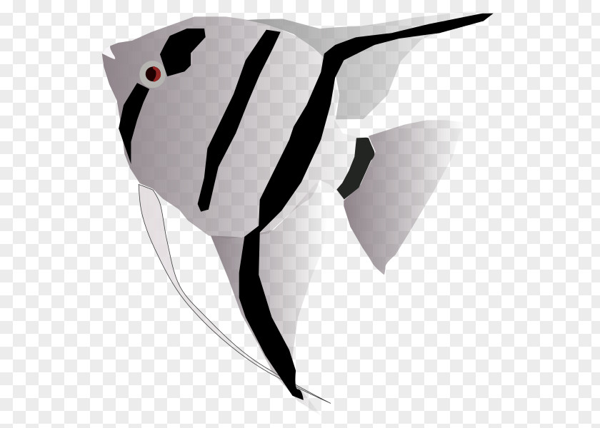 Fish Freshwater Angelfish Clip Art PNG