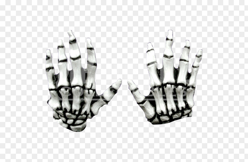 Hand Finger Human Skeleton Bone PNG