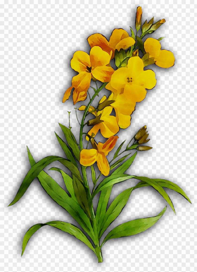 Floral Design Cut Flowers Yellow Plant Stem PNG