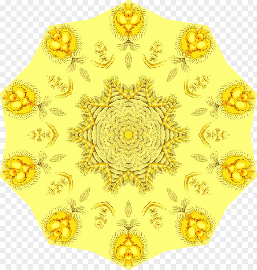 Gold Flourish Circle Rotational Symmetry PNG