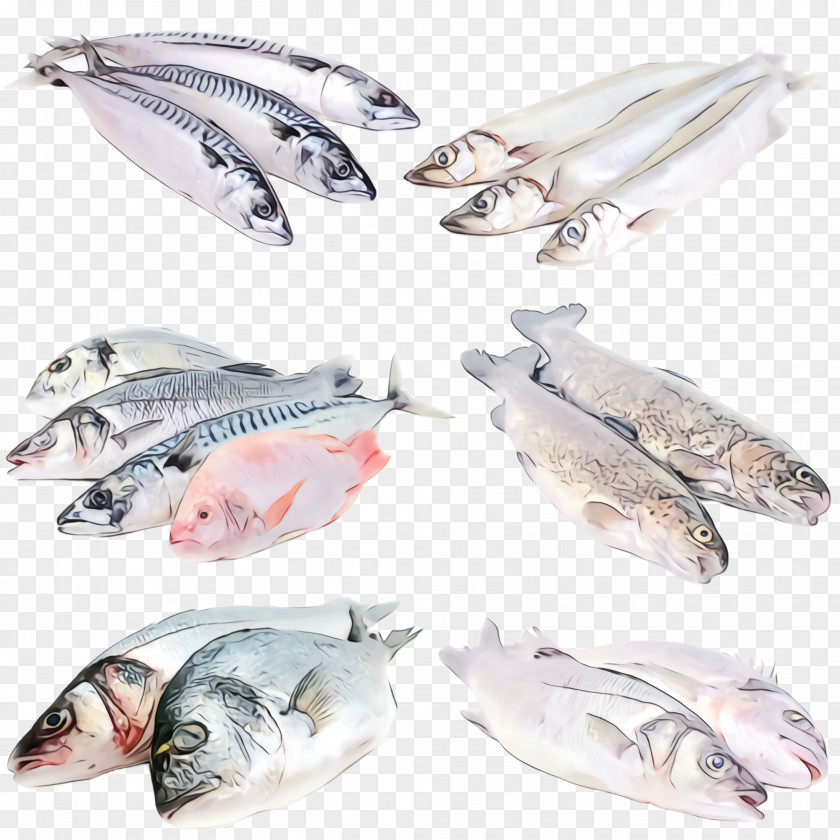 Seafood Oily Fish Products PNG