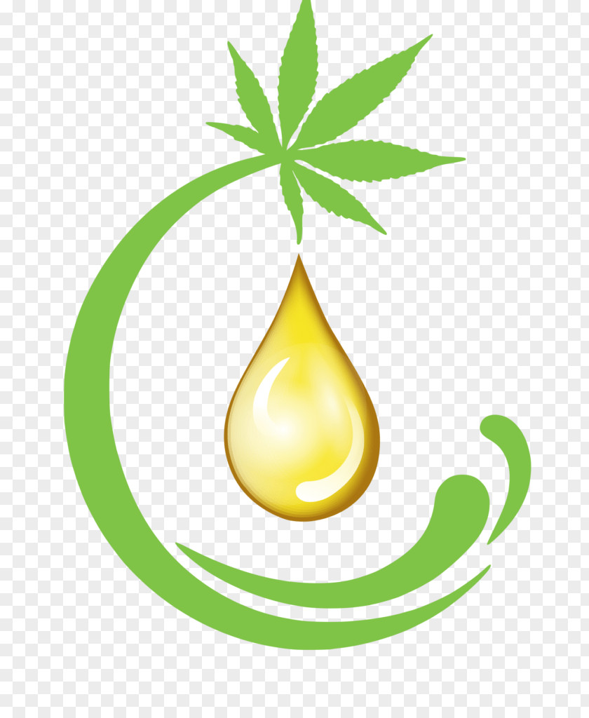 Seed Cannabidiol Cannabis Tetrahydrocannabinol Hemp Sensi Seeds PNG