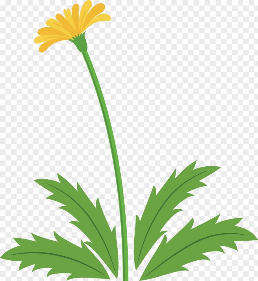 Dandelion Flower Easter Day Spring PNG