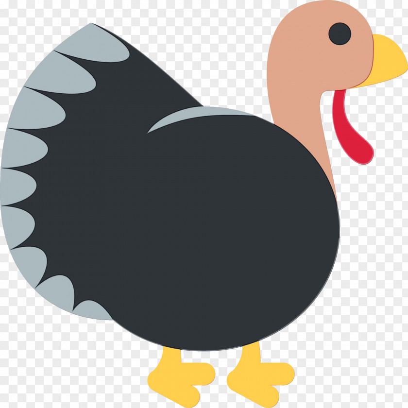 Dodo Ducks Geese And Swans Bird PNG