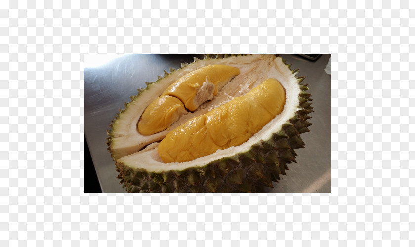 Durian Durio Zibethinus Malaysian Cuisine Pancake Fruit Civet PNG