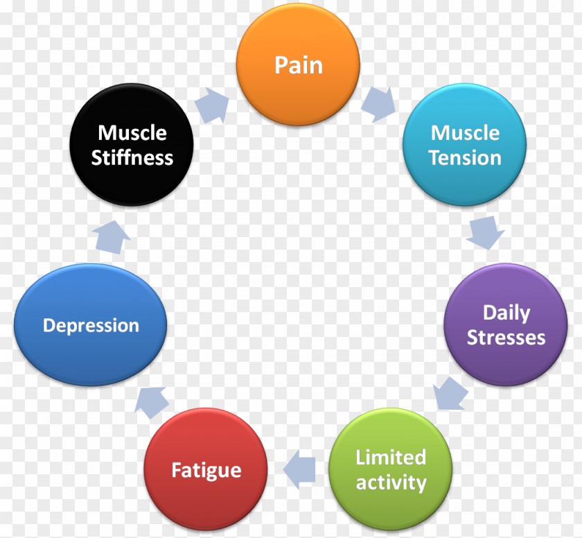 Leptin Hormone Adipose Tissue Problem Solving Insulin PNG