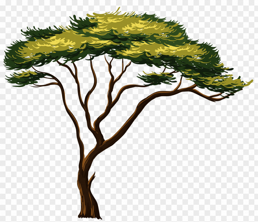 Painted African Tree Clipart Picture Africa Clip Art PNG