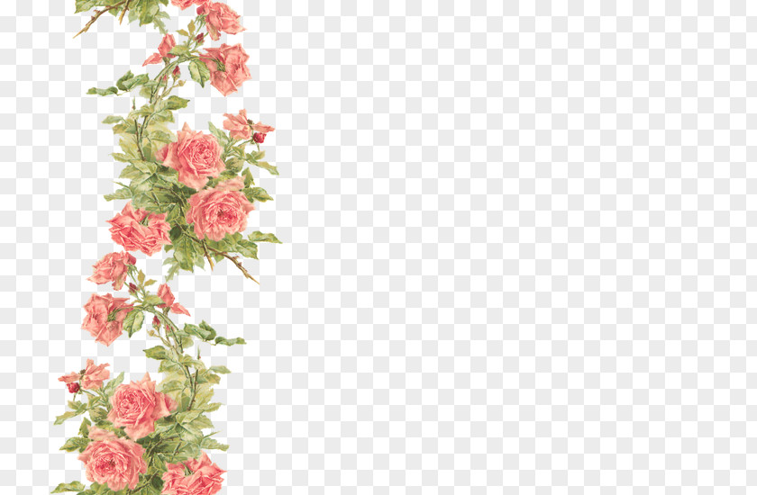 Peach Flower Desktop Wallpaper Rose PNG