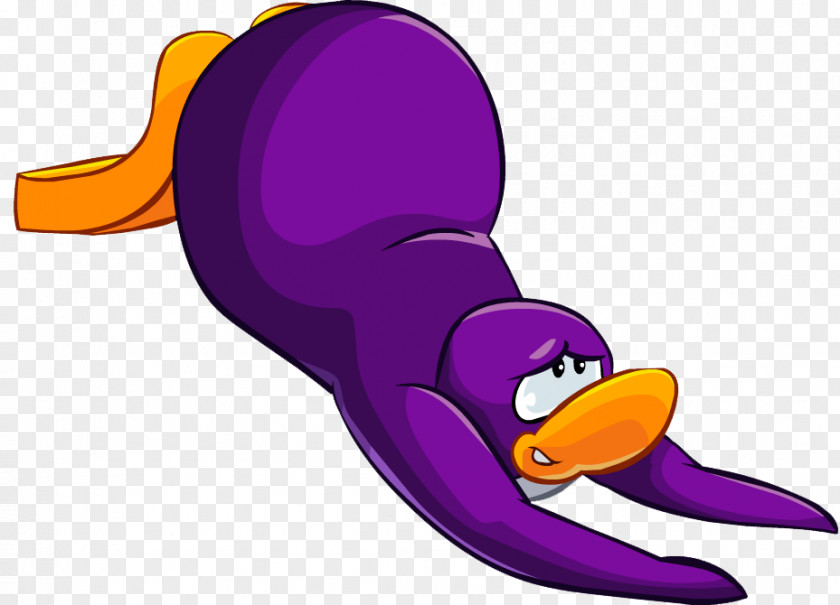 Penguin Club Duck Original Bird PNG