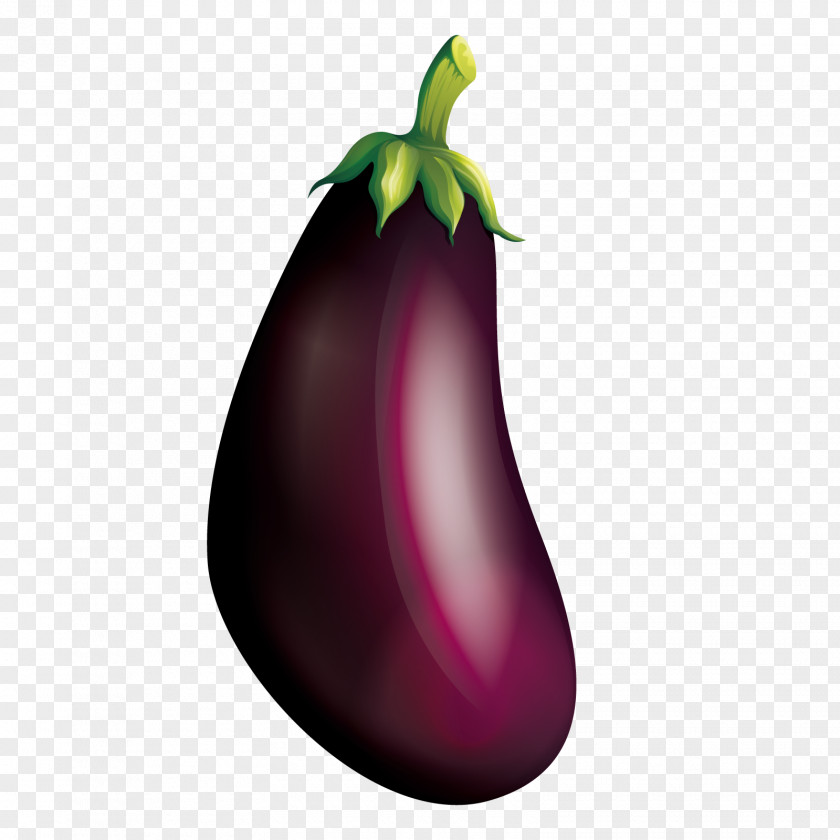Vector Purple Eggplant Fruit PNG