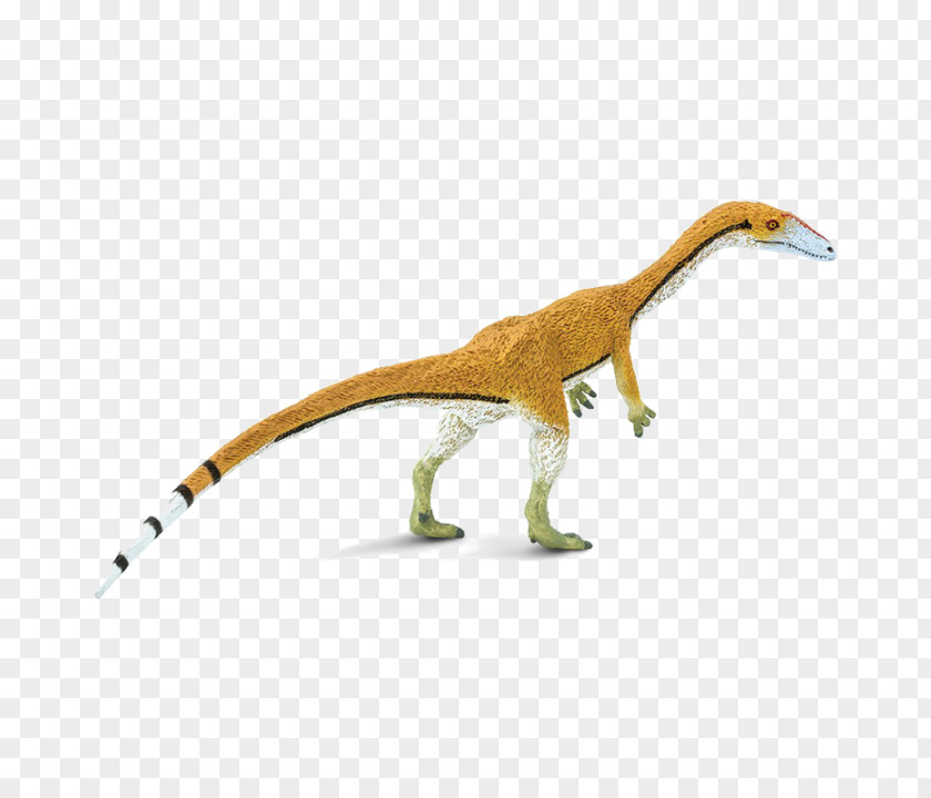 Dinosaur Coelophysis Tyrannosaurus Safari Ltd Diplodocus PNG