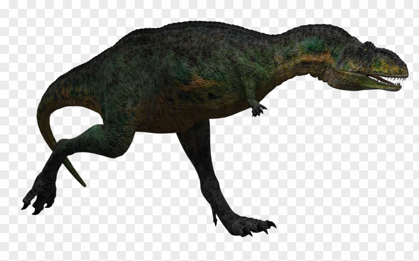 Dinosaur Creative Tyrannosaurus Aucasaurus King Chomp Velociraptor PNG