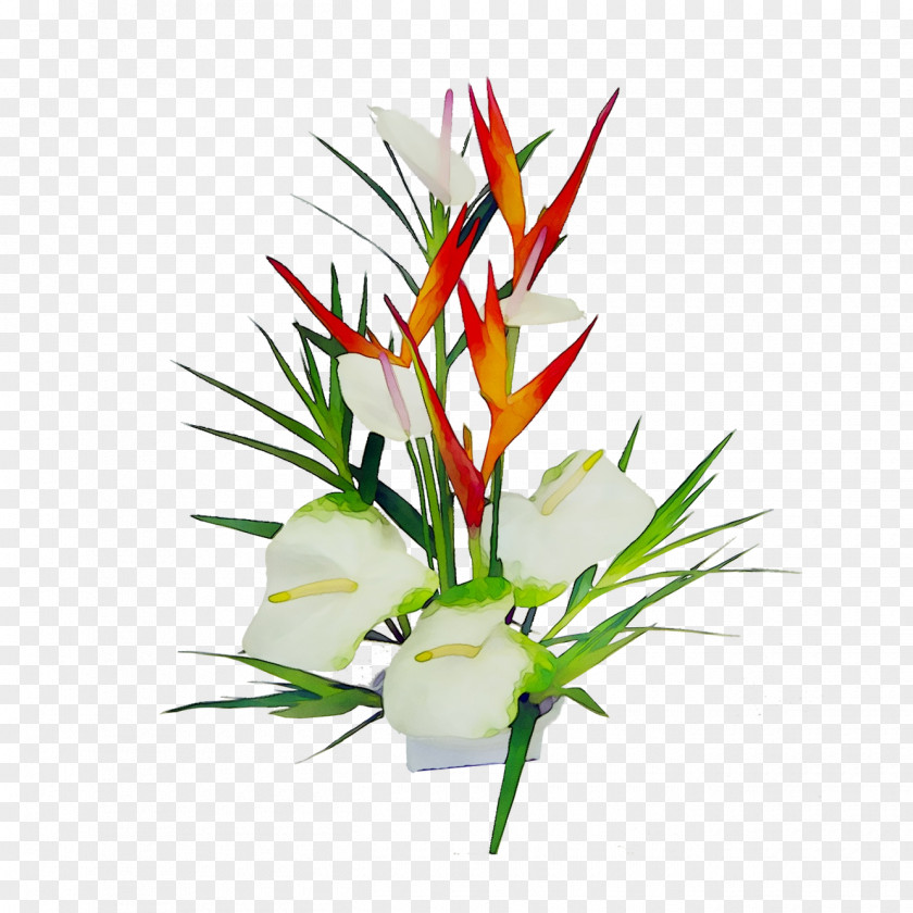 Floral Design Cut Flowers Plant Stem PNG
